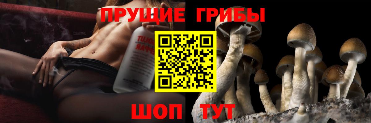 Сатка  Псилоцибиновые грибы прущие грибы  Вход с VPN 
